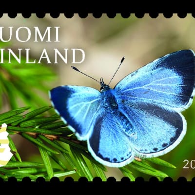 Ett frimärke med en blå fjäril på en gren.