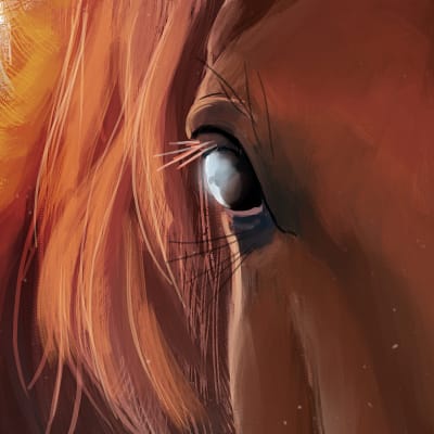 lähikuva hevosen silmästä, maalaus