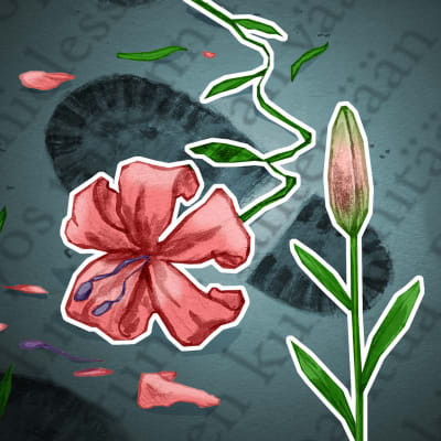 Kuvituskuvassa tallottu lilja jonka vieressä nousee nupullaan oleva lilja