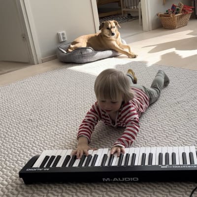 Lapsi makaa lattialla ja soittaa kosketinsoitinta. Taustalla koira.