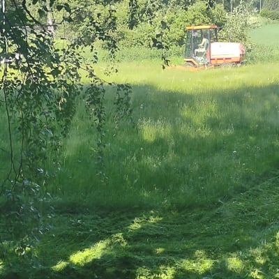 Iso päältäajettava ruohonleikkuri ajaa heinittynyttä puistoa.