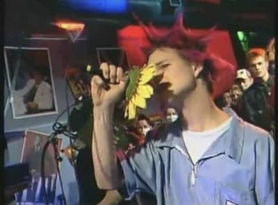 Nuori mies laulaa auringonkukkamikkiin.