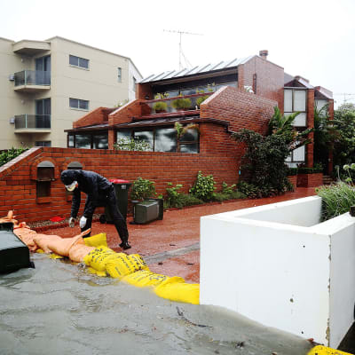 Asukas kasasi hiekkasäkkejä estääkseen veden nousemista Aucklandissa 5. tammikuuta.