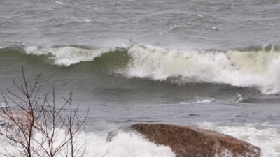 Stora vågor slår mot stora stenar vid stranden. I vågbruset längre ut syns en surfare som ligger på sin surfbräda i våtdräkt.