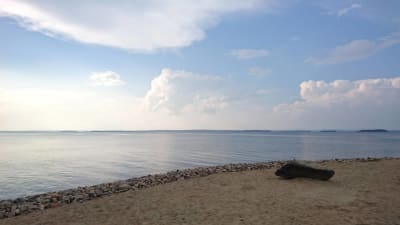 Lågt havsvattenstånd
