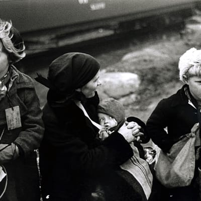 Evakerade i Sverige, Lapplandskriget