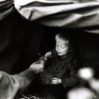 Ruotsiin saapuneiden evakoiden odotusta teltassa. Poikalapsi syö karamellia. (1942)