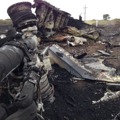 Det som finns kvar av Malaysia Airlines plan i östra Ukraina.