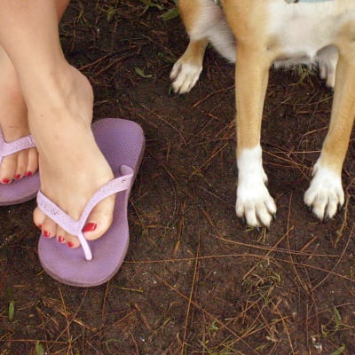Ett par kvinnofötter, och ett par hundfötter på en gräsmatta.
