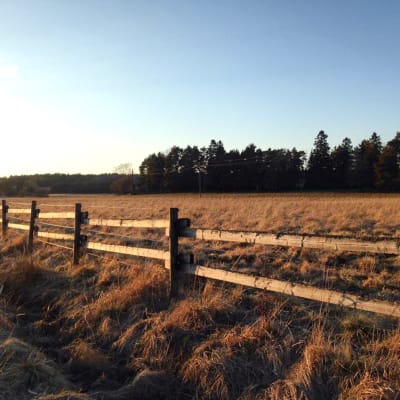 En gärsgård vid en åker