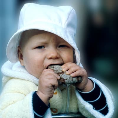 Lapsi syö leipää. Vauva. Elintarvikkeet. Ruoka. Leipä, leipäpala, leivänpala.