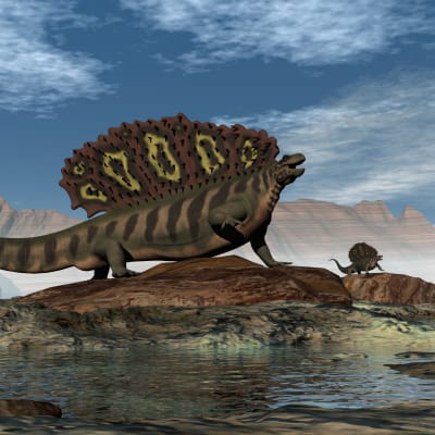 Konstnärens föreställning av en edaphosaurus från perm-perioden.