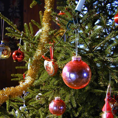 Julgran
