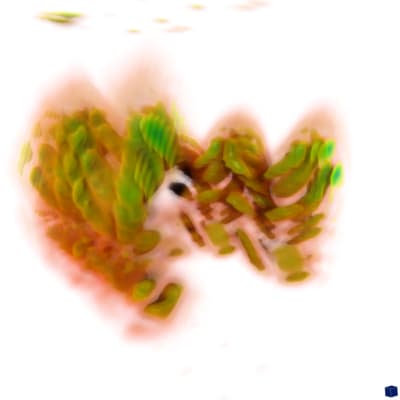 Biovisualisering av en njure, "The Breathing Kidney"