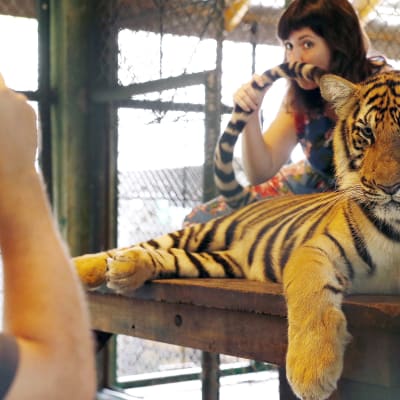 Turisti poseerasi kameralle tiikerihäkissä yksityisessä eläintarhassa Phuketin saarella Thaimaassa vuonna 2015.