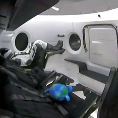 Kuvakaappaus videosta Dragon-kapselin sisältä. Kyydissä on mallinukke Ripley.