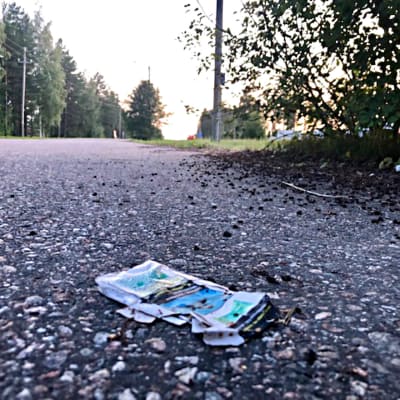 En tillplattad ask på vägen.