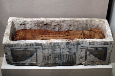 Egyptisk sarkofag med kattmumie i.