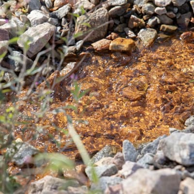 Klart vatten flödar. Under vattnet ses stenar som färgats bruna av järn och mangan.