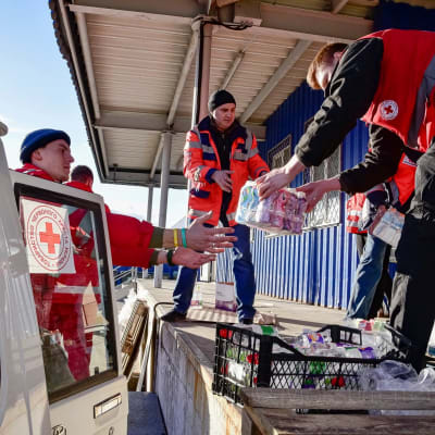Visar frivilliga i Ukrainska Röda Korset som packar mat och vatten i lådor och i bilar.