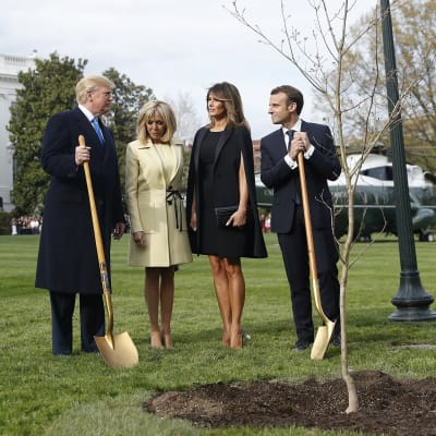 Yhdysvaltain presidentti Donald Trump, Melania Trump sekä Ranskan presidentti Emmanuel Macron ja hänen vaimonsa Brigitte Macronin osallistuvat puun istutukseen 23. huhtikuuta 2018 Valkoisen talon edessä Washingtonissa.