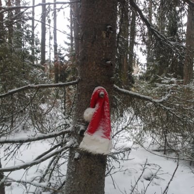 Julbocken tappade sin mössa