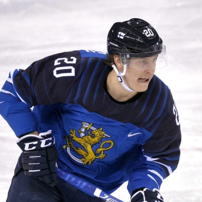 Eeli Tolvanen.