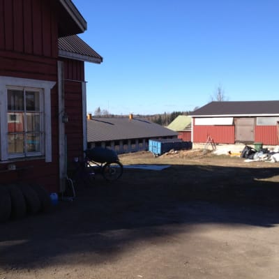 De olika byggnaderna vid Uljaan maitotila i Askola, Östnyland