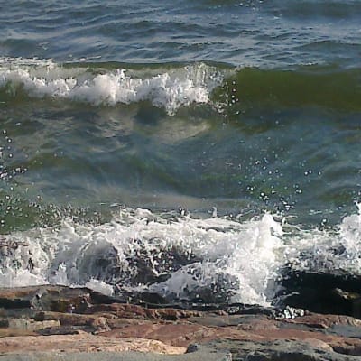 Meren aaltoja
