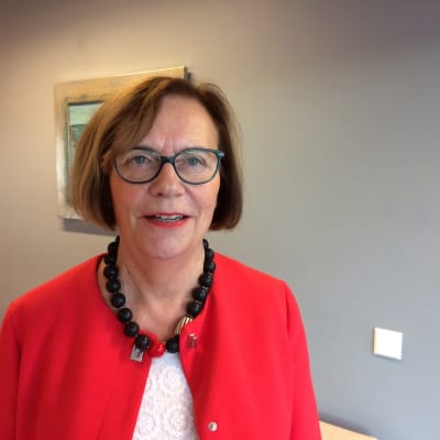 Gun Oker-Blom direktör för svenskspråkig utbildning och småbarnsfostran på Utbildingsstyrelsen