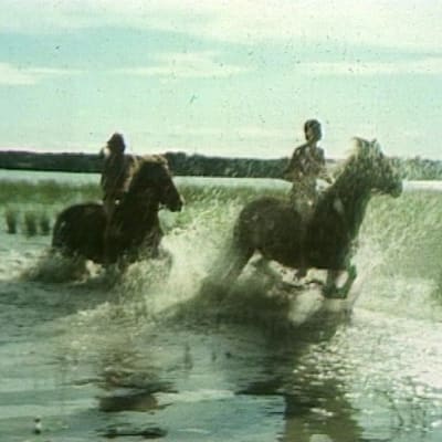 Kaksi hevosta ratsastajineen laukkaavat järvessä