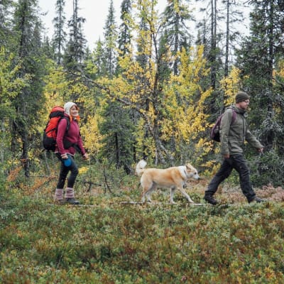 Nainen, mies ja koira metsässä retkellä.