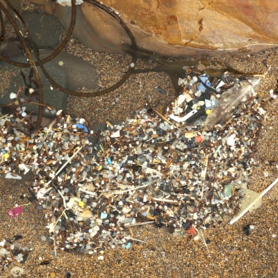 muovinpalasia rannalla