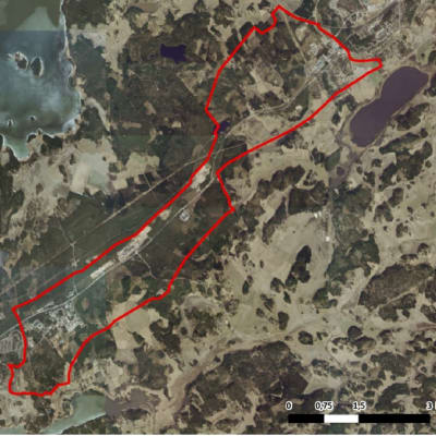 En flygfoto eller en satellitbild över området Horsbäck-Läpp i Raseborg. Röd gränslinje visar vilket område en aktuell delgeneralplan gäller.