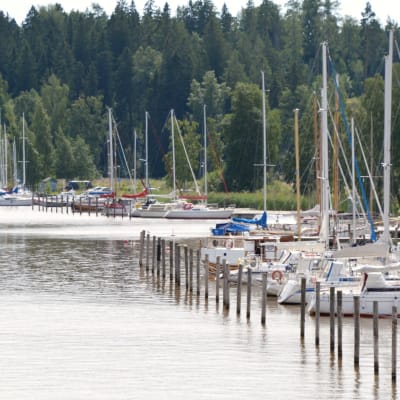 Flera segelbåtar förtöjda i Borgå å.