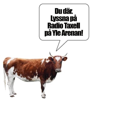 En ko med pratbubbla "Du där. Lyssna på Radio Taxell på Yle Arenan".