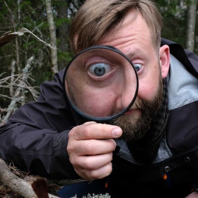 Joakim lax på marken med stort förstoringsglas och enormt förstorat öga i den studerar en groda på marken.