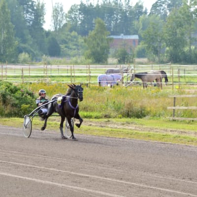 Lovisa trav 2020