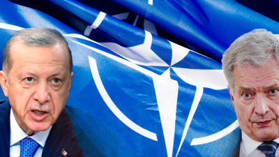 Turkiets president och Finlands president framför Natoflagga.