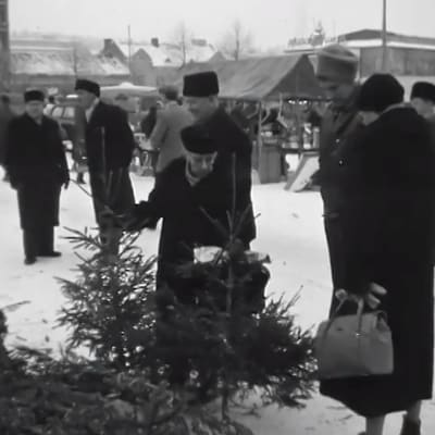 Kuusikauppiaita ja kuusenostajia Helsingissä 1958