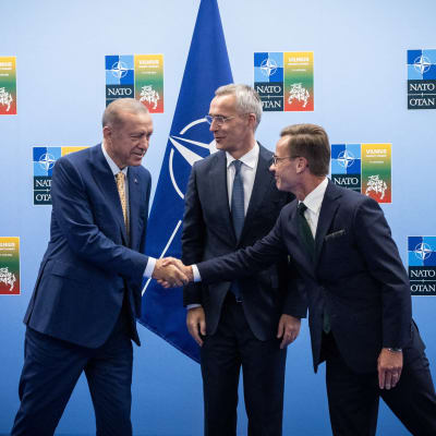 Erdogan och Kristersson skakar hand framför en vägg. Stoltenberg står mellan dem.