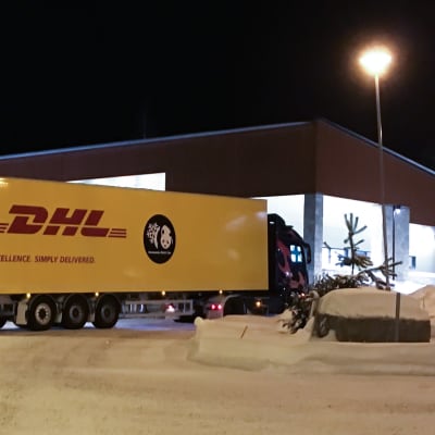 Pandojen Lumi ja Pyry kuljetus on perillä Ähtärin pandatalolla 18. tammikuuta 2018 illalla. 