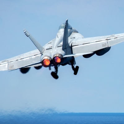 Det var ett amerikansk jaktplan av typen F/A-18E Super Hornet som sköt ner ett syriskt jaktplan söder om Raqqa 