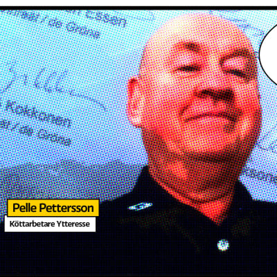 Pelle Pettersson porträtt som serietidningssida med pratbubbla med texten "dags för listval?" och svaga namnteckningar i bakgrunden på ett dokument.