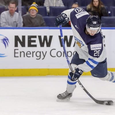 Eeli Tolvanen