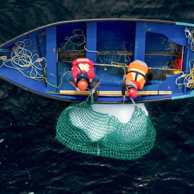  Blair Baker ja Taylor Lindsorn poimivat verkolla merestä jäävuoren palasta veneeseensä.