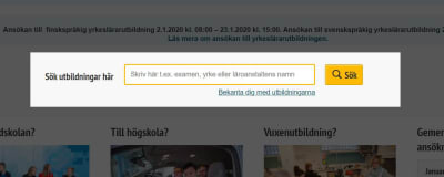En skärmdump från webbplatsen Studieinfo.fi.