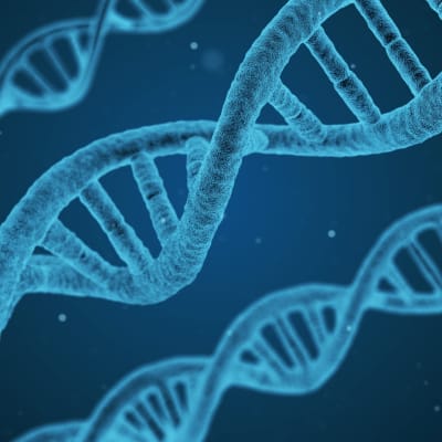 DNAn kaksoiskierre sinisävyisenä