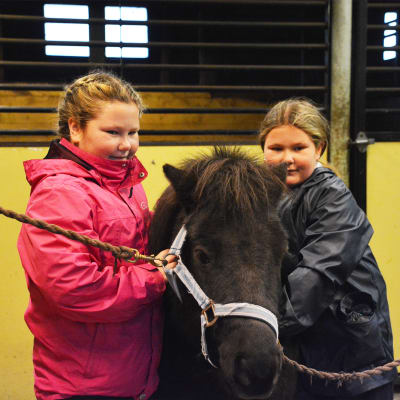 Två flickor står på var sida om en svart ponny.