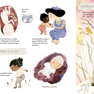 flera mindre illustrationer: ett foster i livmodern, ett större barn som gosar med en bebis, ett litet barn som tar sitt första steg och ett barn som sitter i skogen iklädd gul mössa.